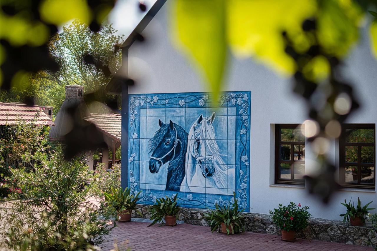 Hotel Szel Fiai Fogado Nyúl Exteriér fotografie