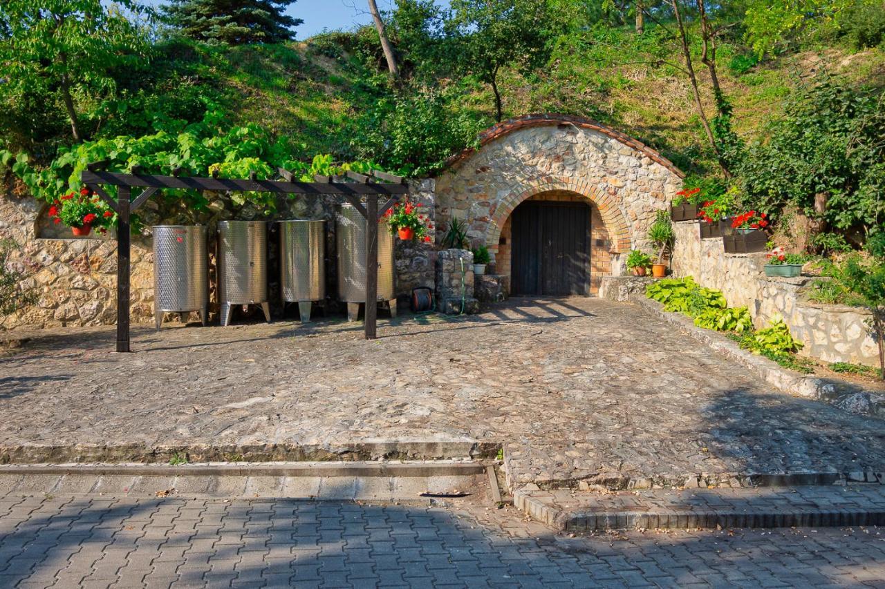 Hotel Szel Fiai Fogado Nyúl Exteriér fotografie