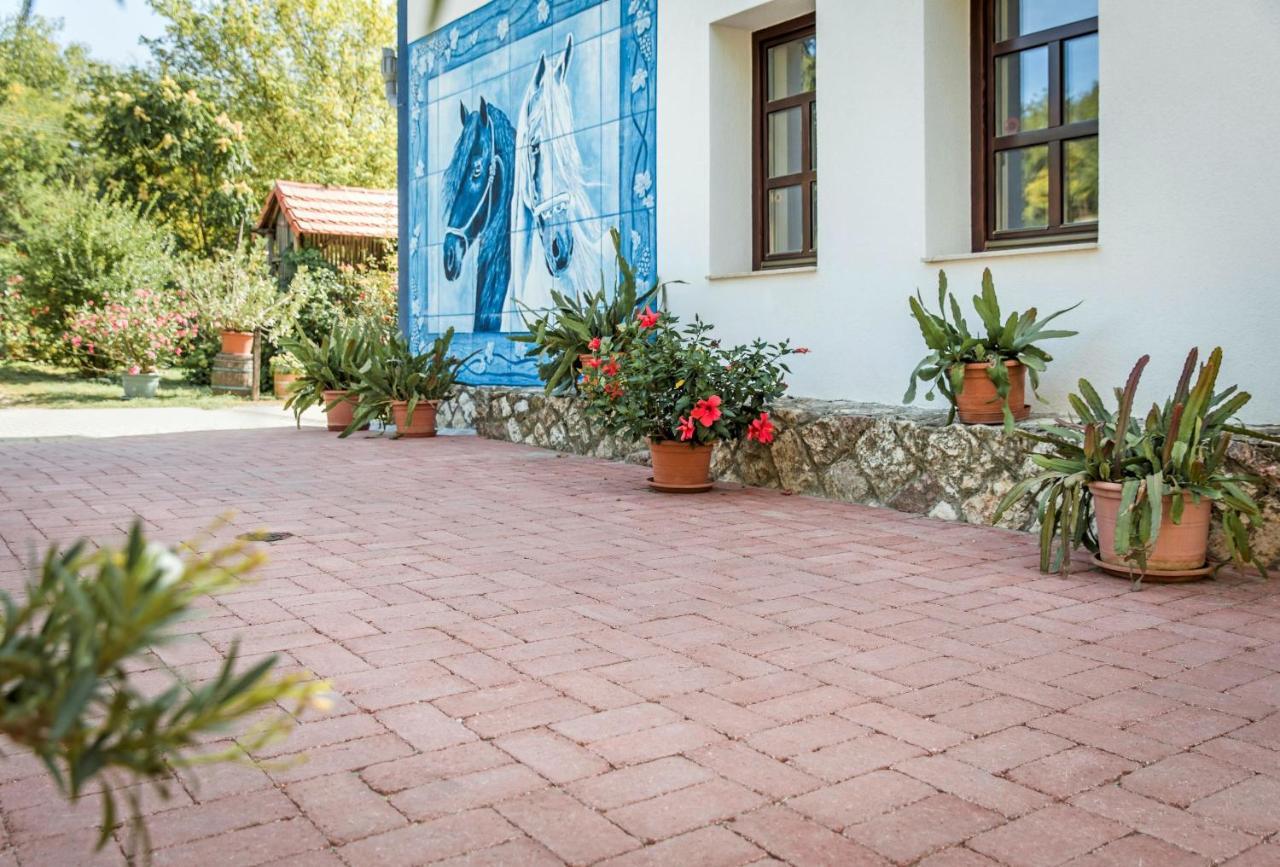 Hotel Szel Fiai Fogado Nyúl Exteriér fotografie